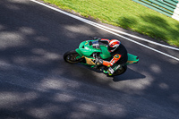 cadwell-no-limits-trackday;cadwell-park;cadwell-park-photographs;cadwell-trackday-photographs;enduro-digital-images;event-digital-images;eventdigitalimages;no-limits-trackdays;peter-wileman-photography;racing-digital-images;trackday-digital-images;trackday-photos